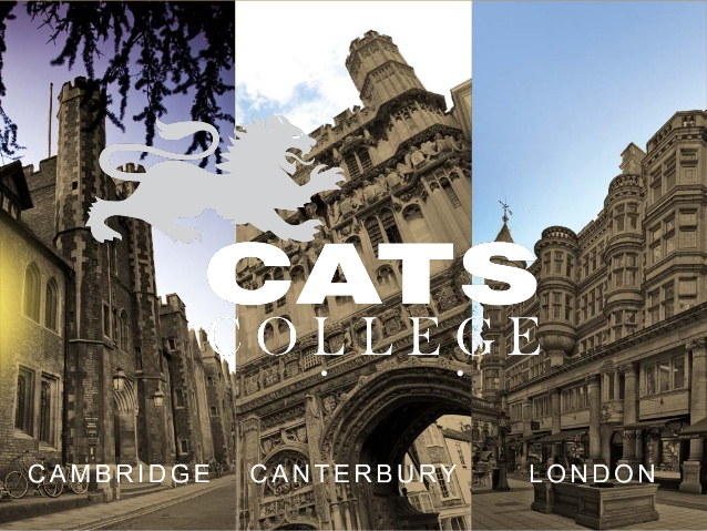 cats-2.jpg cats-2.jpg