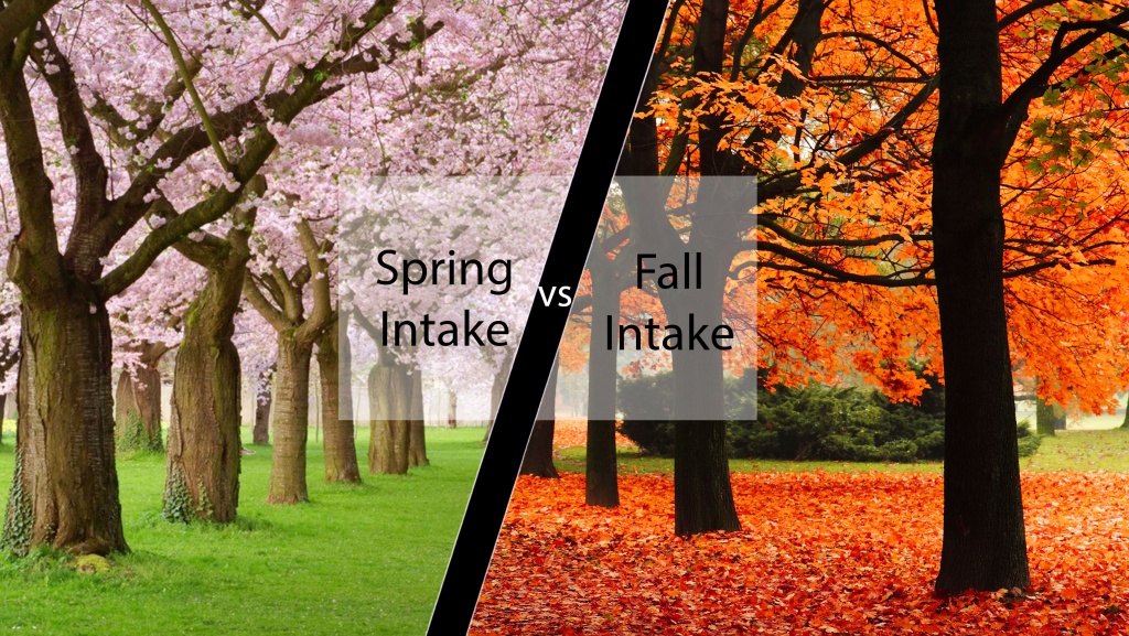 fallorspring.jpg fallorspring.jpg