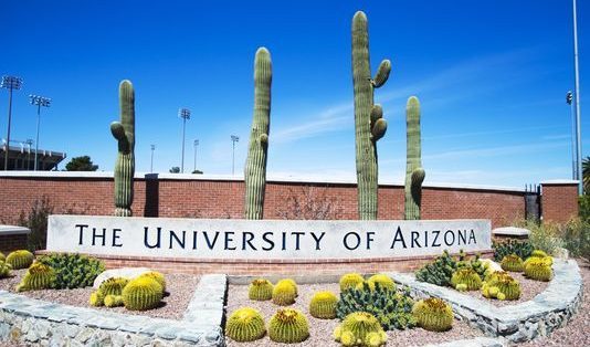 đại học Arizona