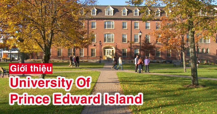 University of Prince Edward Island - ĐẾN PEI HỌC GÌ CHO ĐỊNH HƯỚNG TƯƠNG LAI