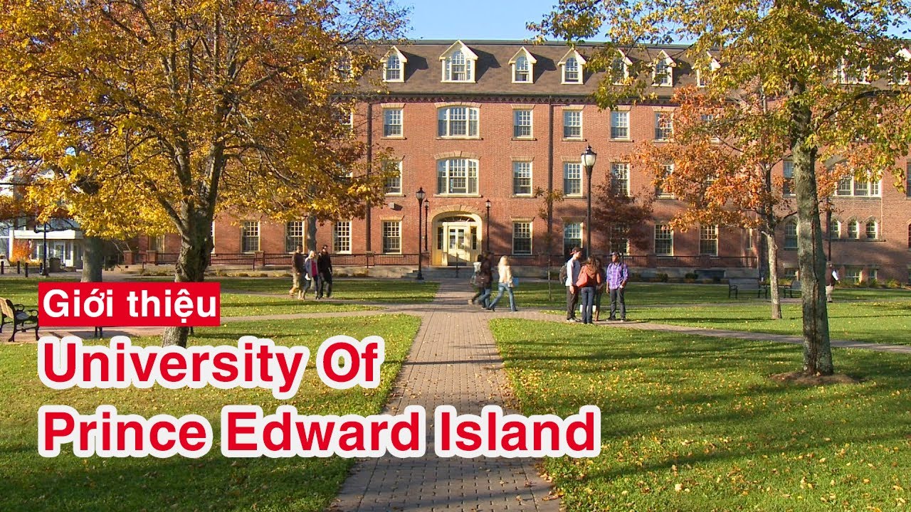 University of Prince Edward Island - ĐẾN PEI HỌC GÌ CHO ĐỊNH HƯỚNG TƯƠNG LAI