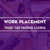 chương trình Work Placement